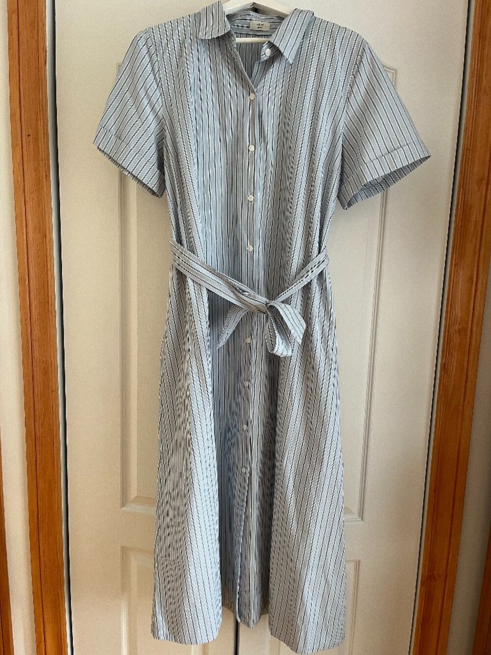 Aritzia Eleta Poplin Dress